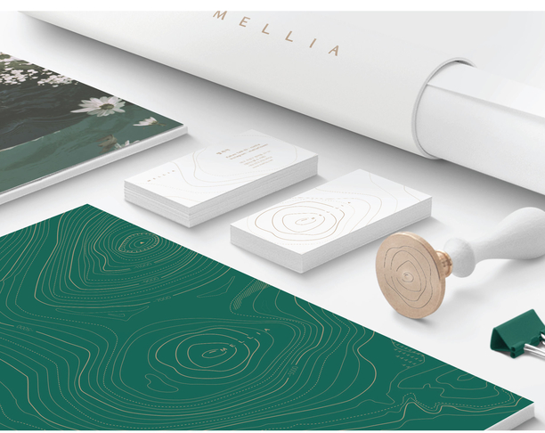 【2018iF奖】品牌设计  MELLIA / Brand design