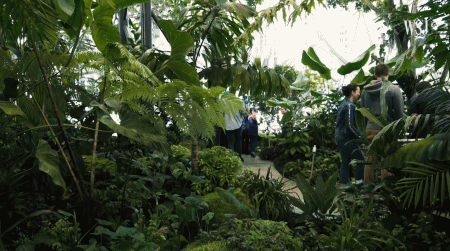 亚马逊放大招,砸270亿造新总部,把热带雨林搬进办公室