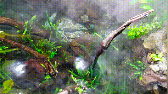 亚马逊放大招,砸270亿造新总部,把热带雨林搬进办公室