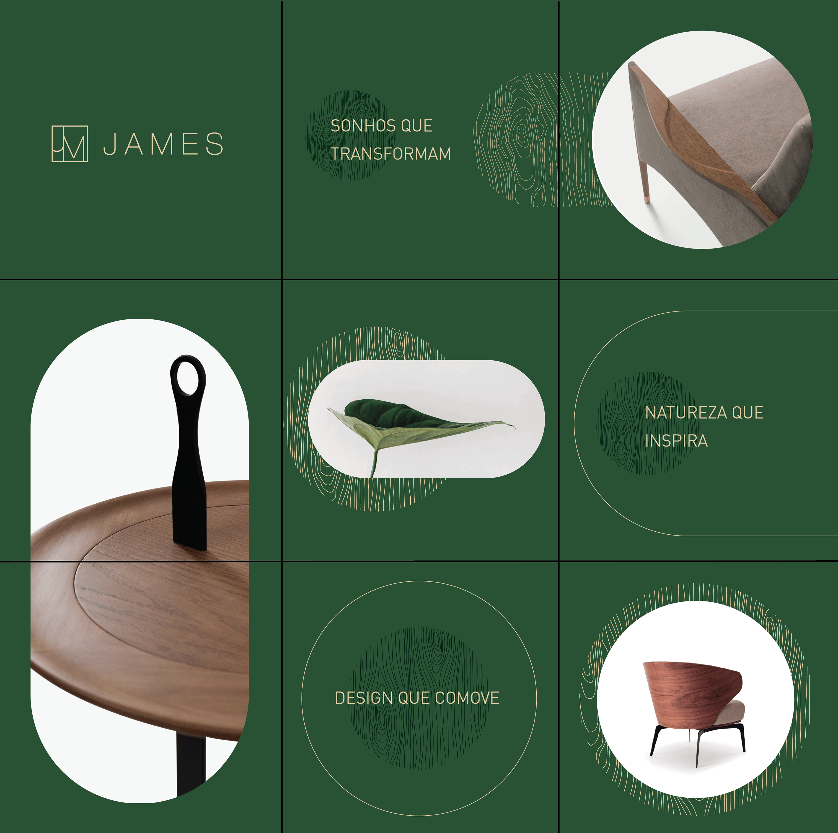 【形象系统设计】james 复古优雅绿加以仿生设计形成