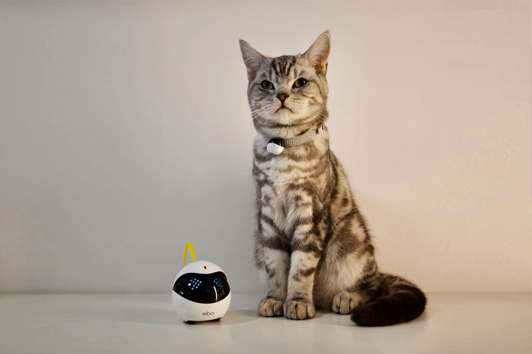 ebocatpal既可以陪伴猫咪又可以记录猫咪的美好生活