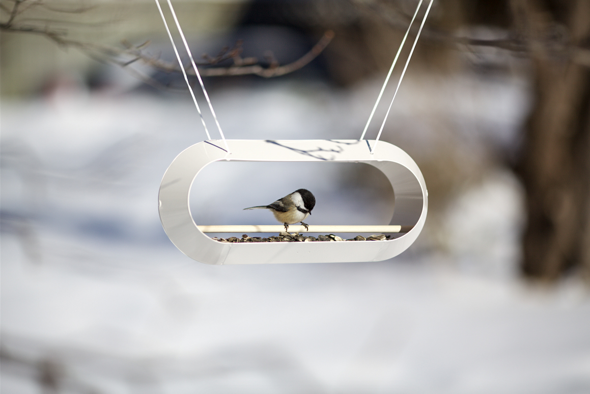 framebirdfeeder小鸟专用喂食器有了它小鸟就不怕饿肚子