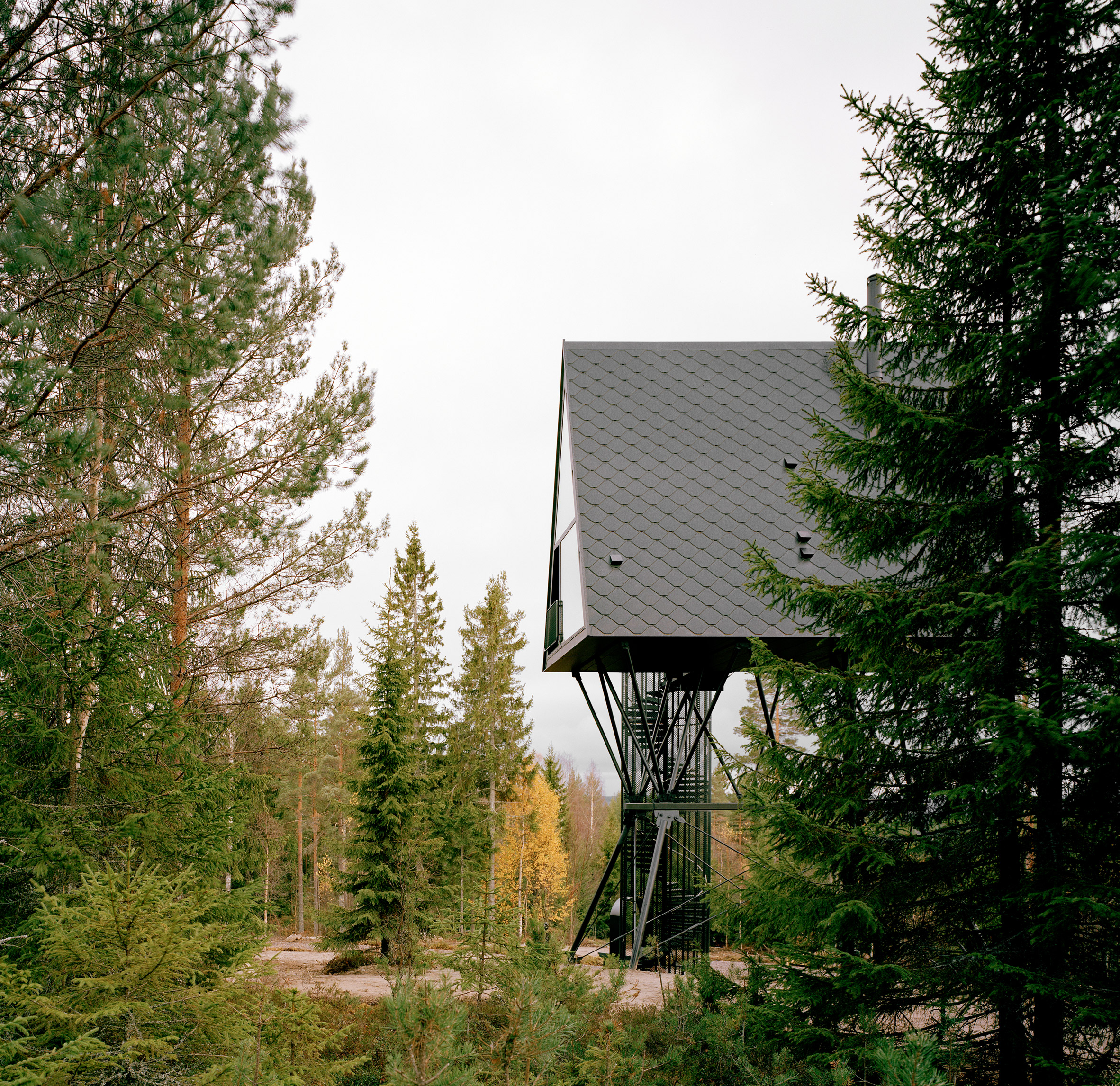 espen surnevik,pan treetop cabins,树屋