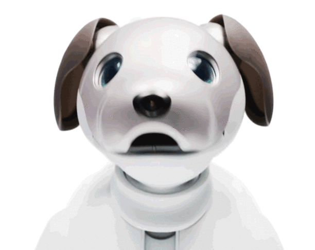 索尼推出智能新款机器狗Aibo：将于明年1月发售！