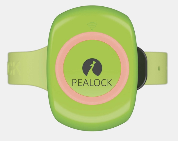 【2020 红点奖】Pealock / 智能电子锁