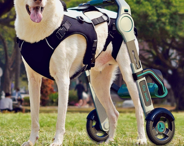 【2021 红点奖】Go Walk / 狗移动辅助设备