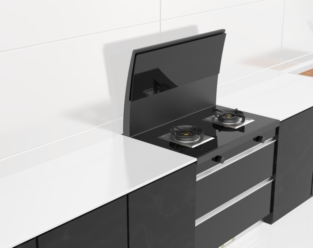 Several integrated stove schemes designed in 21 years