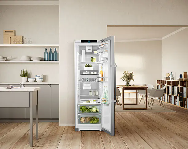 【2022年 iF设计奖】Freestanding fridge-series