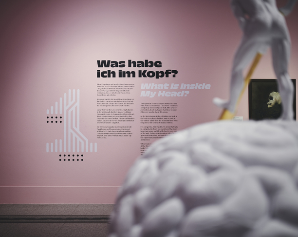 【2023年 iF设计奖】Das Gehirn. In Kunst & Wissenschaft