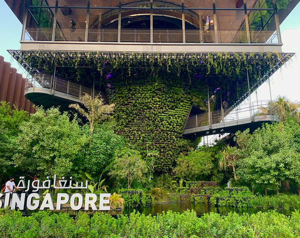 【2023年 iF设计奖】DIGITAL GREEN UTOPIA, SINGAPORE, DUBAI EXPO 2020
