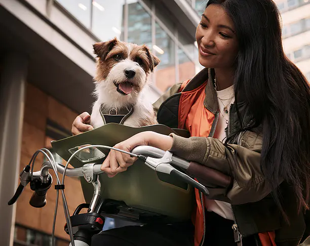 【2023年 iF设计奖】Kvisp Dog Bike Seat