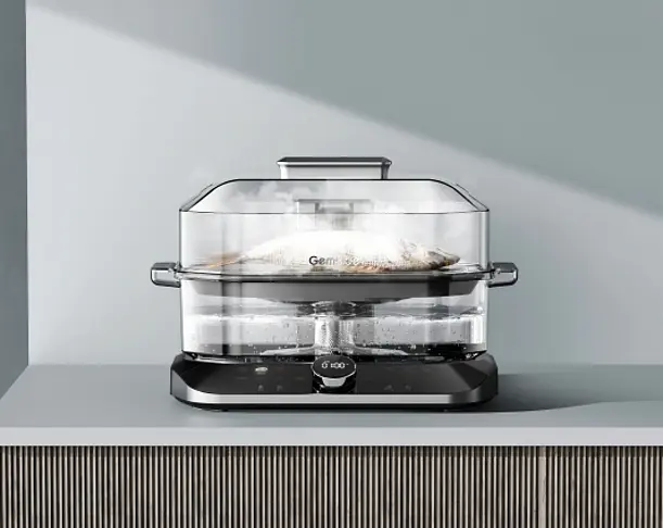 【2024年 iF设计奖】Automatic Lid Electric Steamer