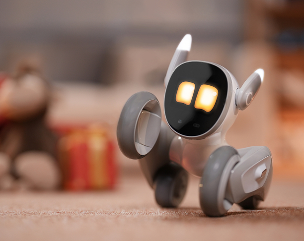 【2024年 iF设计奖】Loona Companion Robot