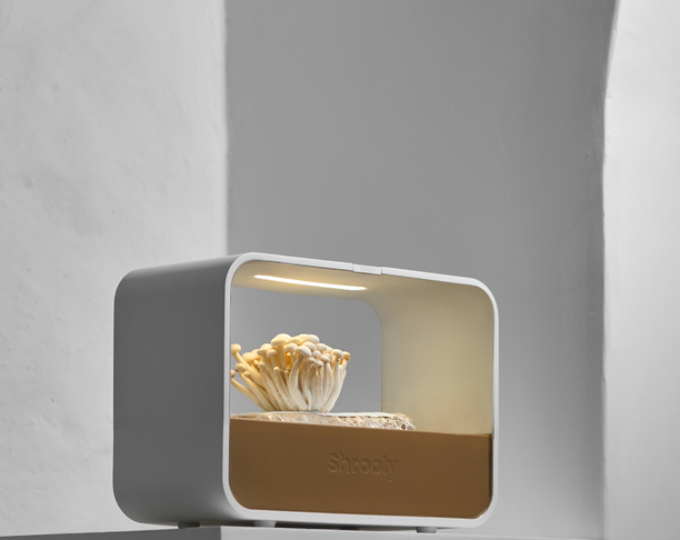 【2024年 iF设计奖】Shrooly - Smart Mushroom-Growing Device
