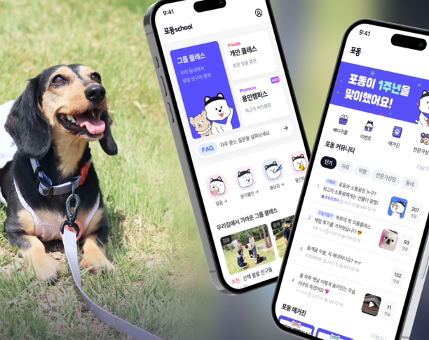 【2024年 iF设计奖】Fodong - Dog-Centric Platform