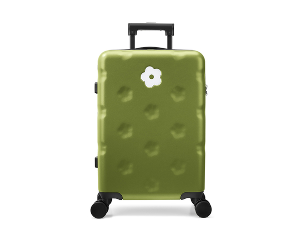 【2024年 iF设计奖】OIWAS smart flower Luggage