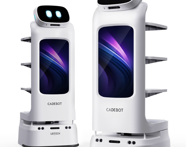 【2024年 iF设计奖】CADEBOT Robot