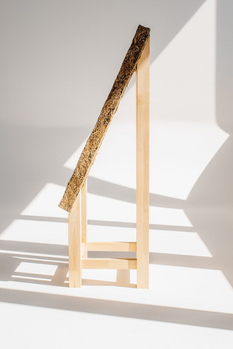 natural，deck chair，MałgorzatBlachuta，