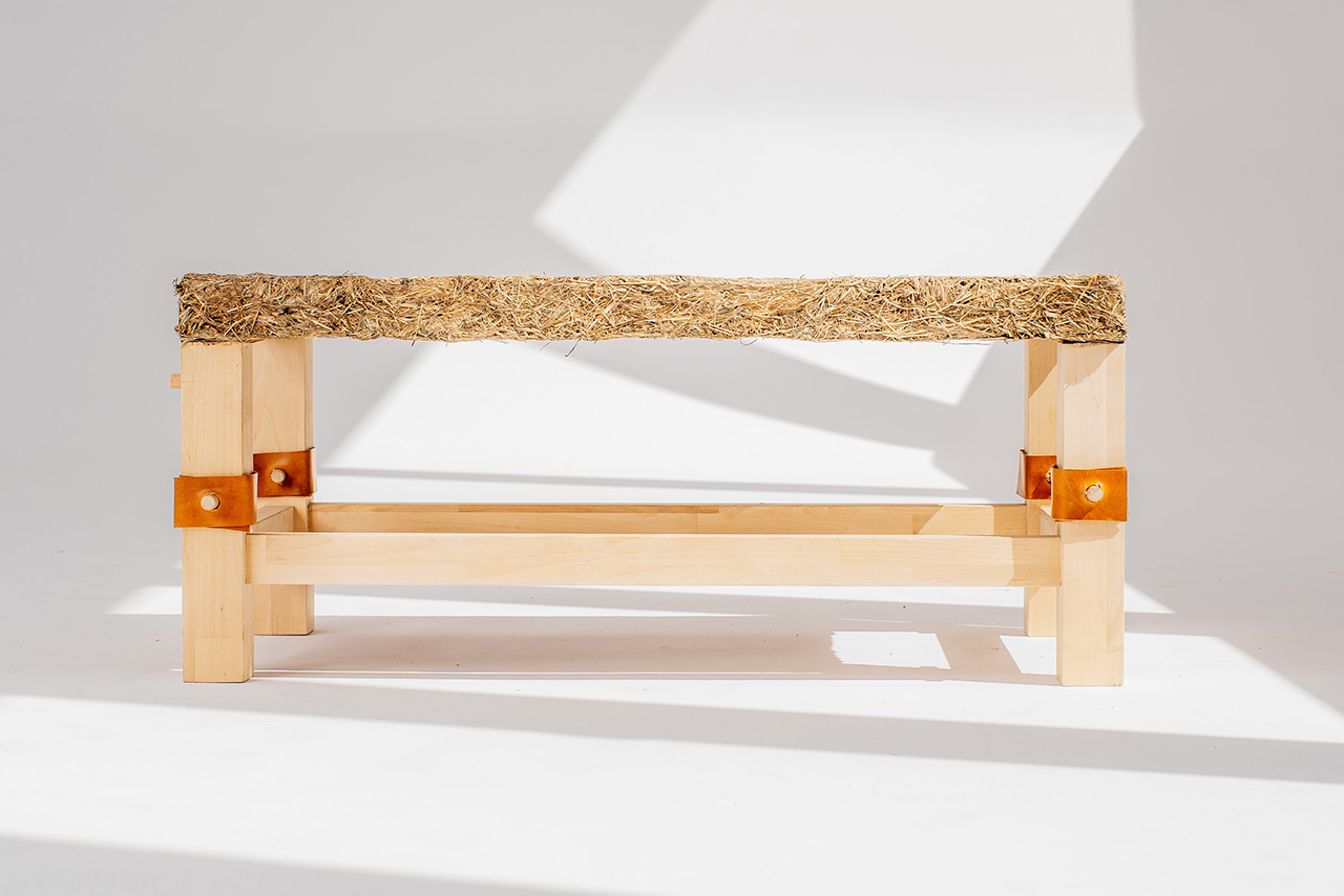 natural，deck chair，MałgorzatBlachuta，