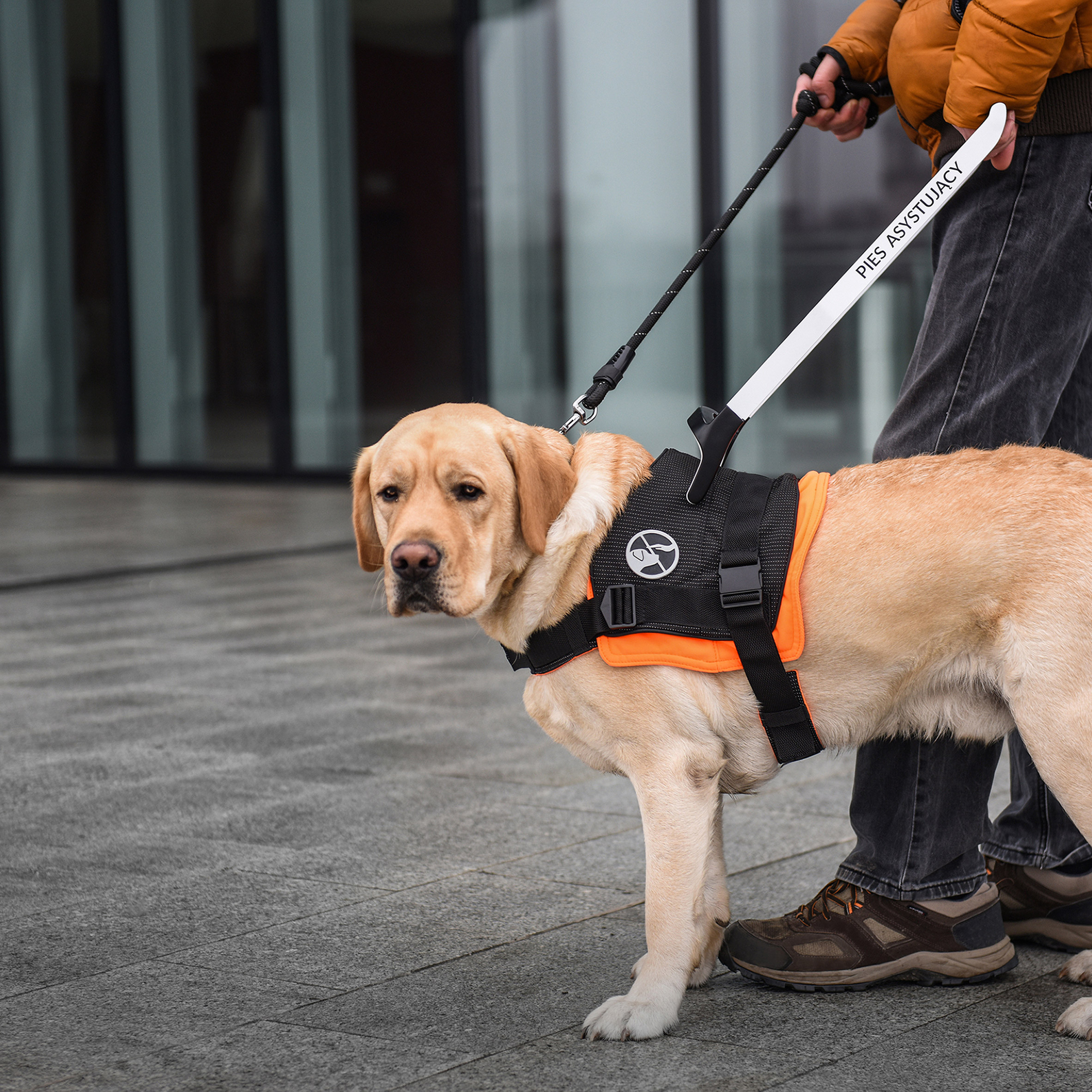 poland，Boat，works，