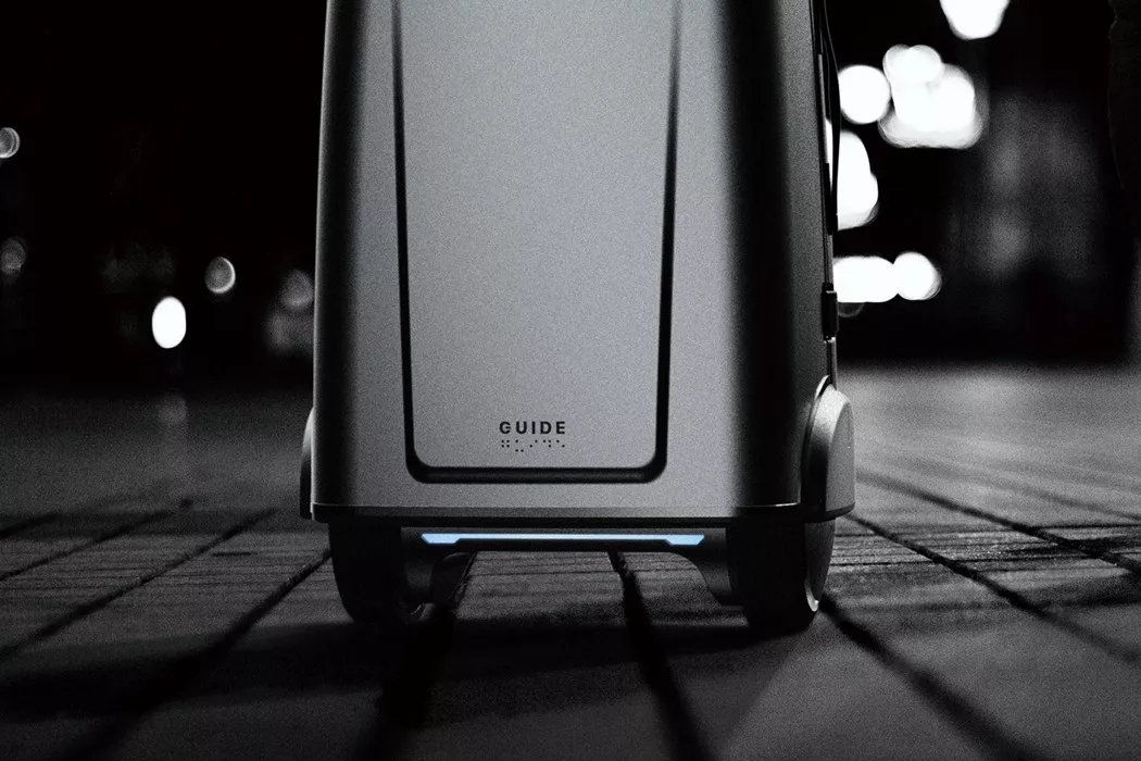 Guide，visually impaired ，intelligence，trunk，