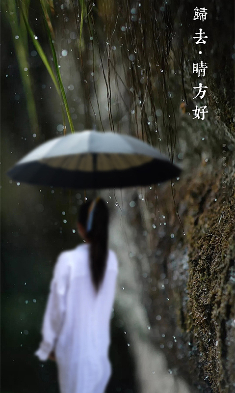 Culture，China，literature，Umbrella，