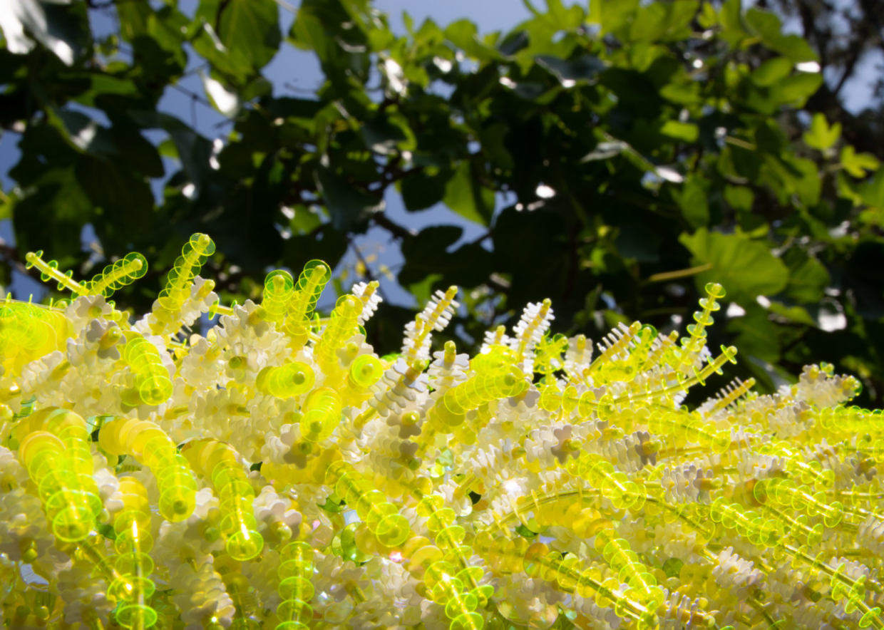 refuse classification，Art，Design，originality，