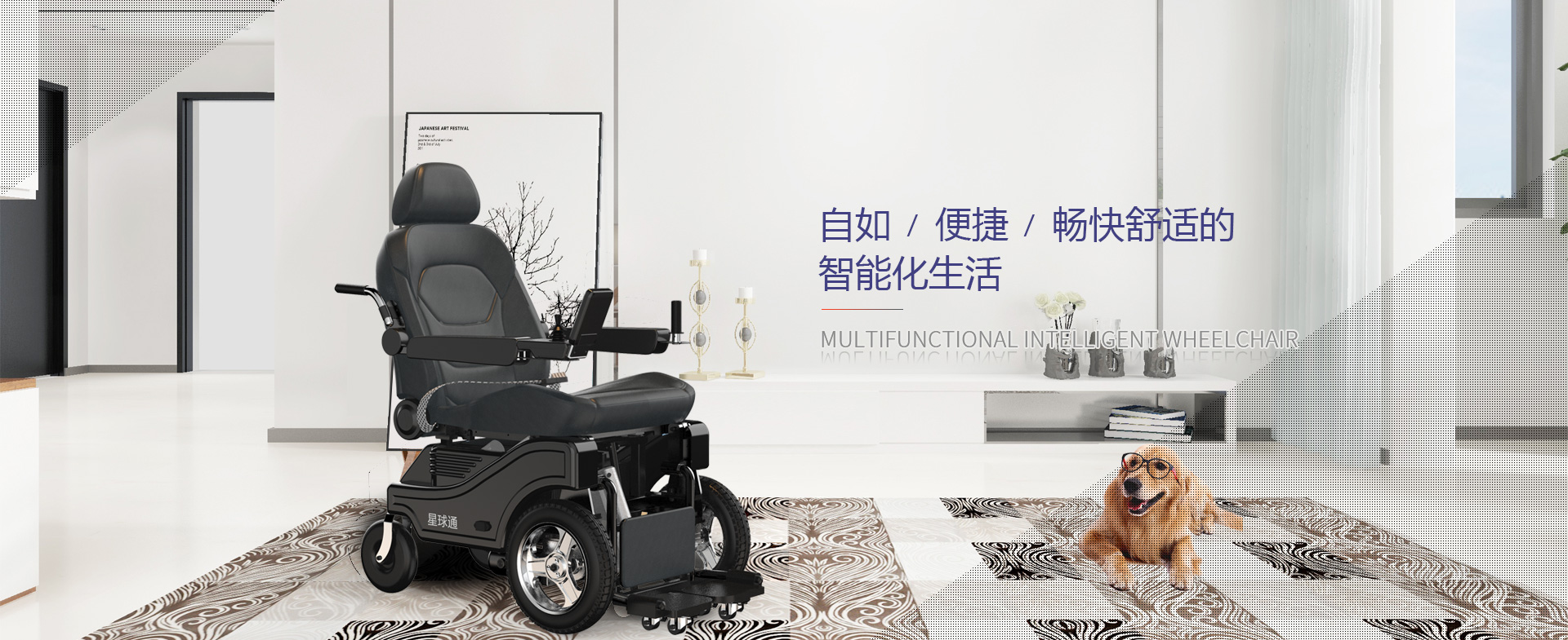 wheelchair，Scooter，multi-function，Walking robot，
