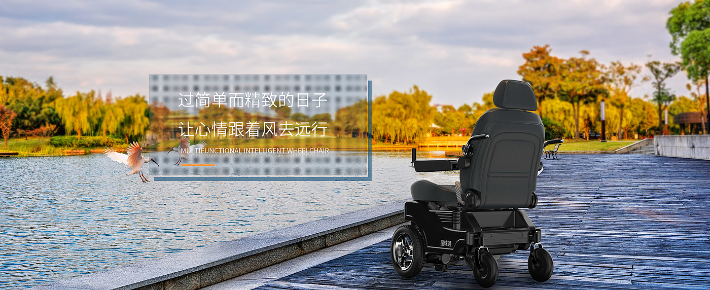 wheelchair，Scooter，multi-function，Walking robot，