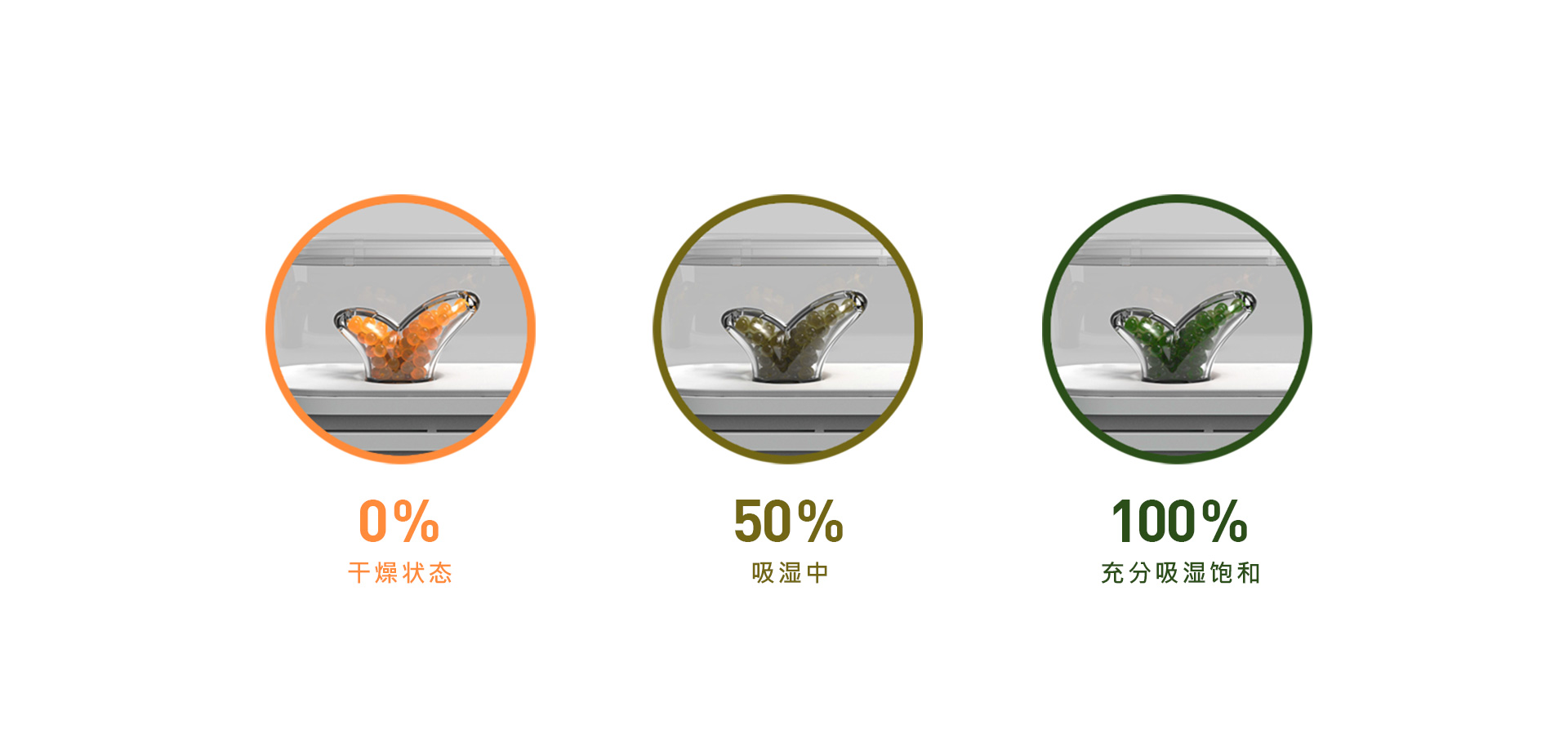 wardrobe，Home，dry，Object orientation，Botany，dehumidification，