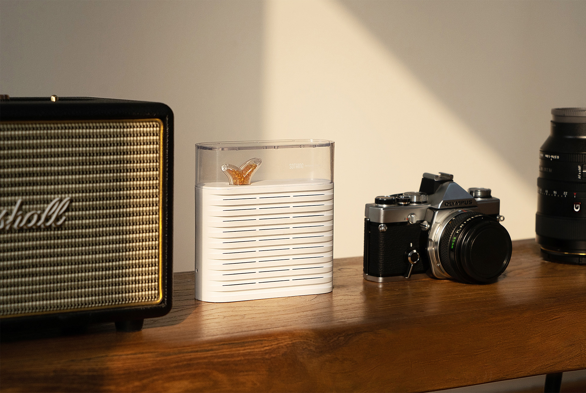 wardrobe，Home，dry，Object orientation，Botany，dehumidification，