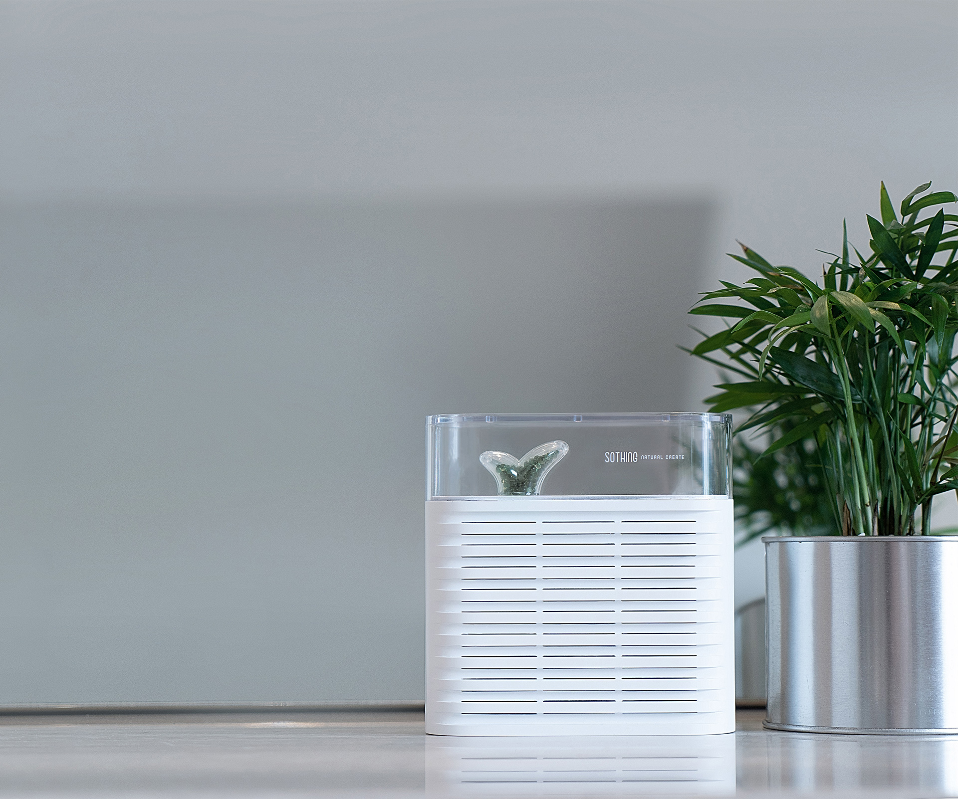 wardrobe，Home，dry，Object orientation，Botany，dehumidification，