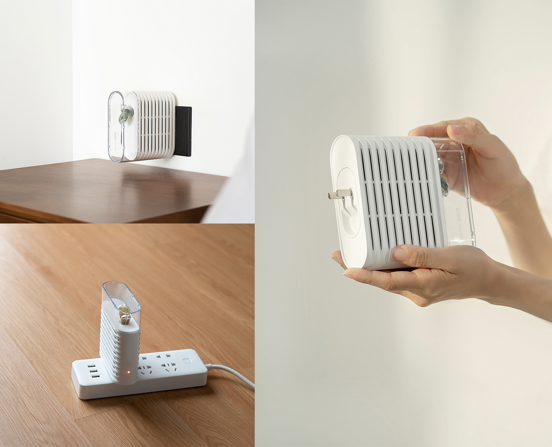 wardrobe，Home，dry，Object orientation，Botany，dehumidification，