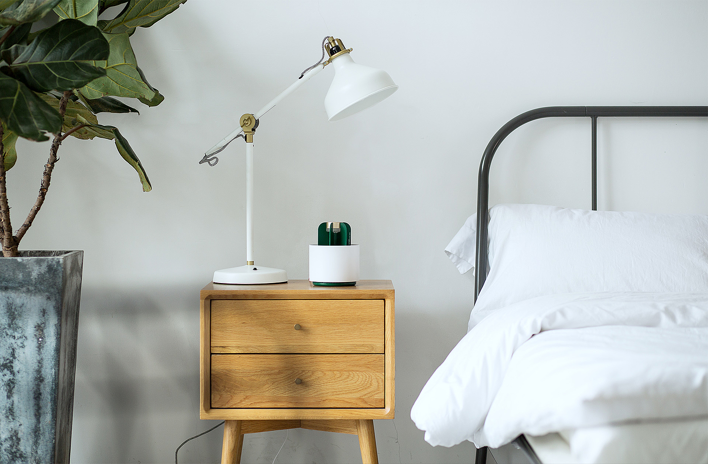 cactus，mosquito，Object orientation，summer，Mosquito killing lamp，