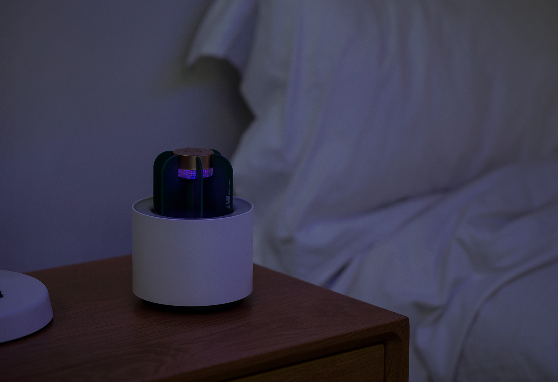 cactus，mosquito，Object orientation，summer，Mosquito killing lamp，