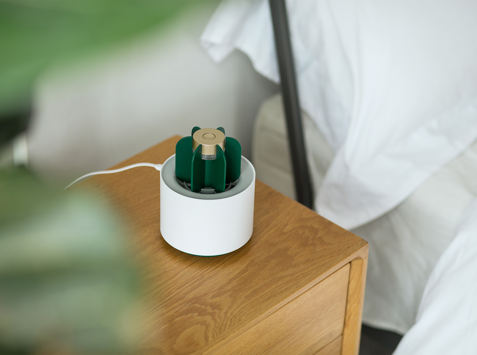 cactus，mosquito，Object orientation，summer，Mosquito killing lamp，