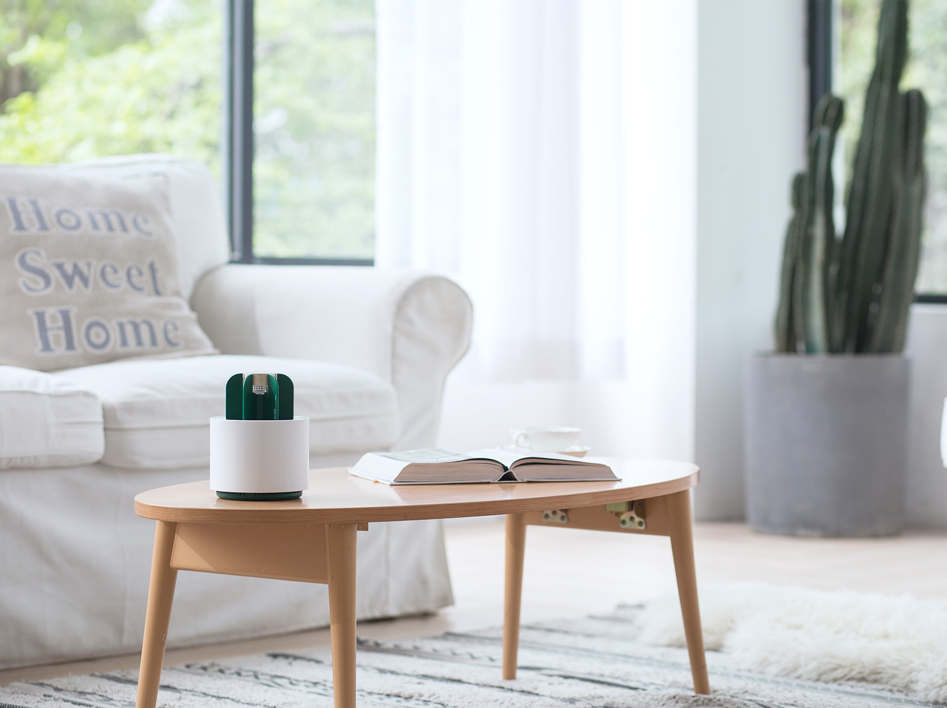 cactus，mosquito，Object orientation，summer，Mosquito killing lamp，