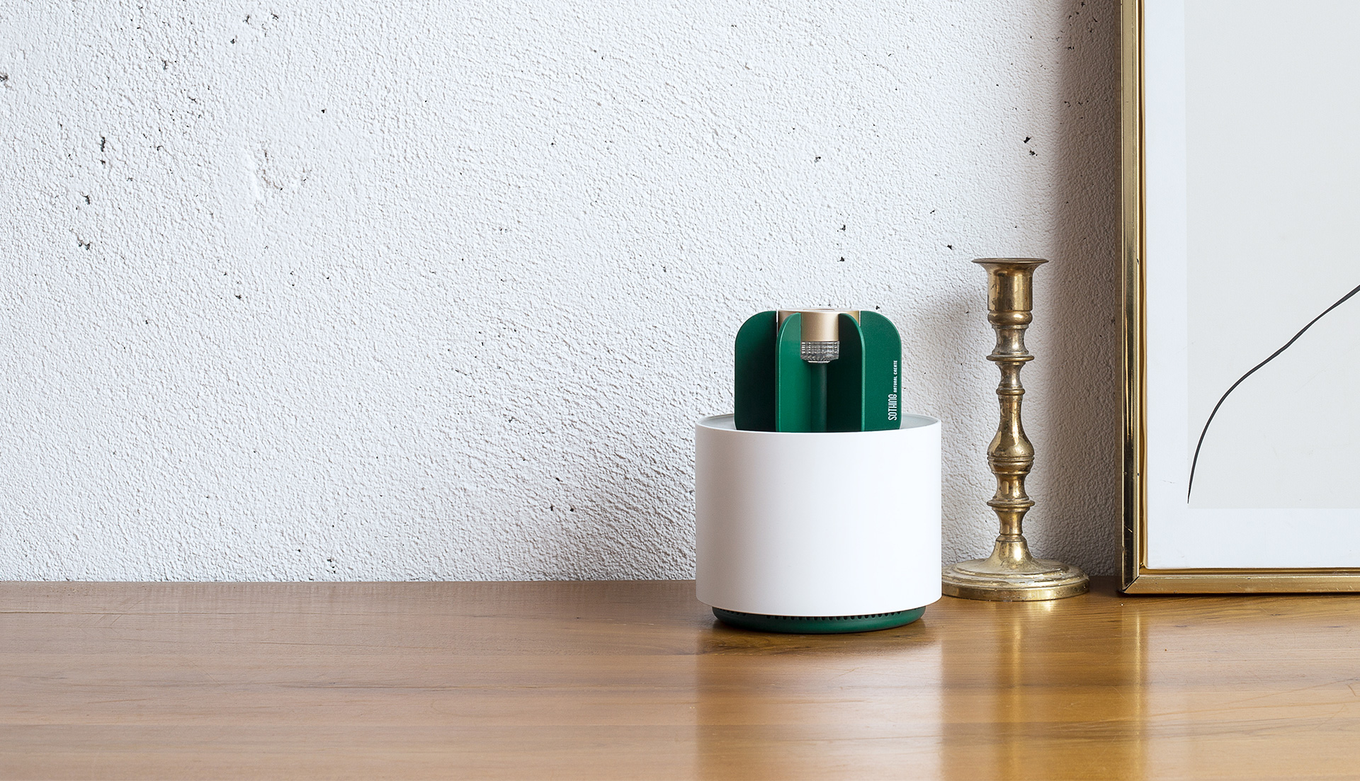 cactus，mosquito，Object orientation，summer，Mosquito killing lamp，