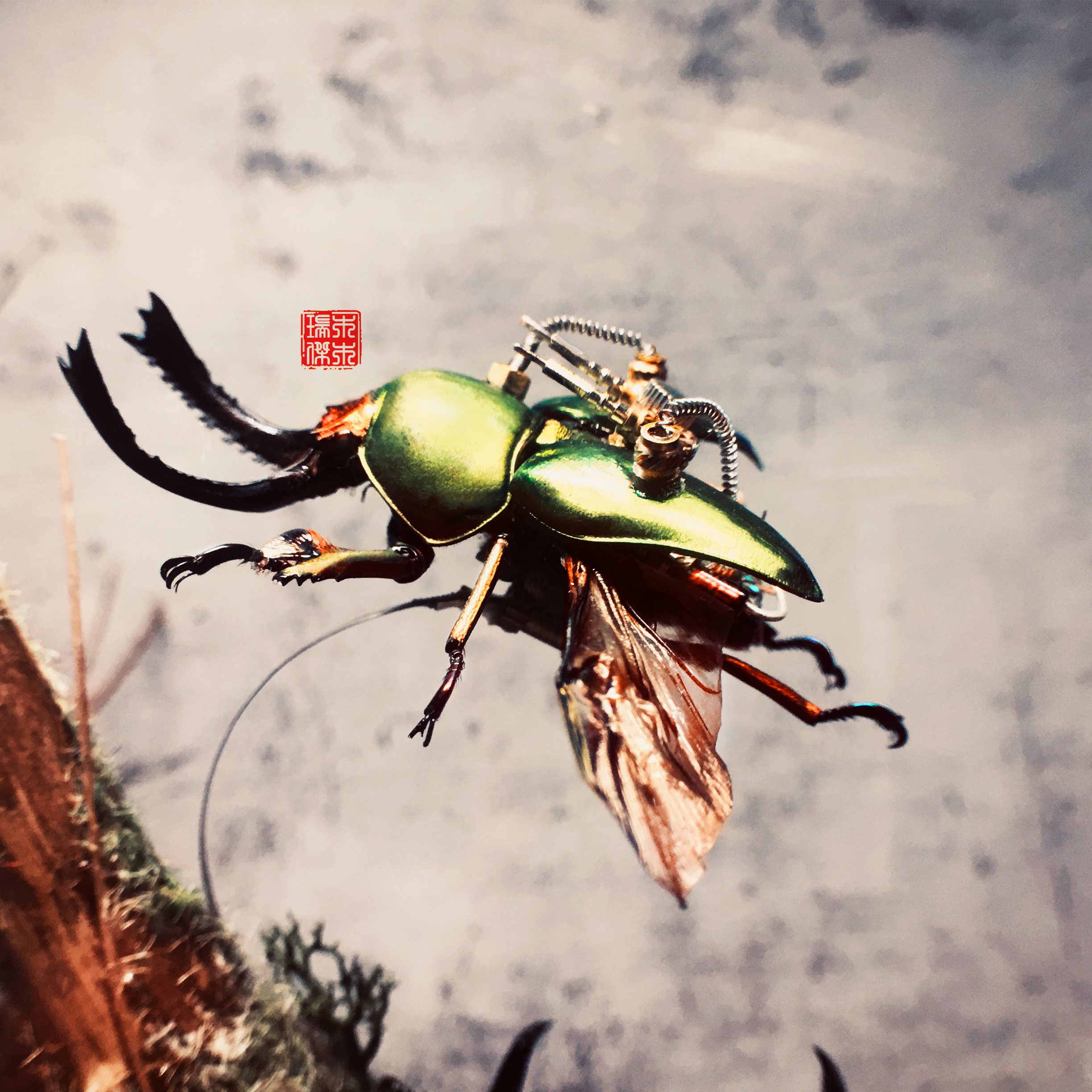 insect，Steampunk，handicraft，Landscaping，specimen，