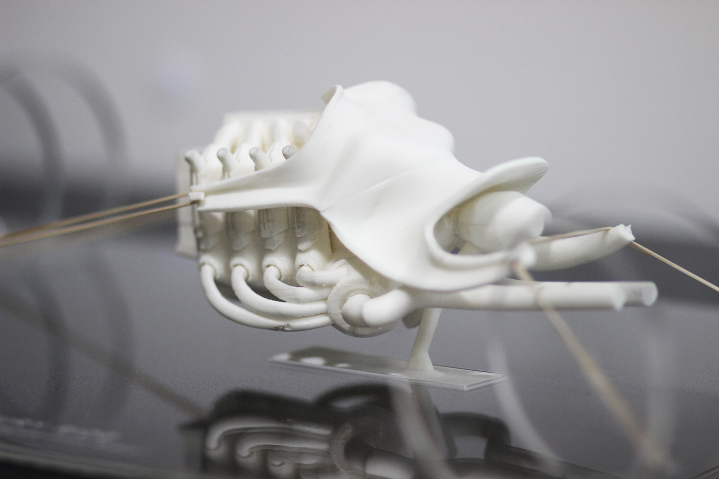 automobile，LUXURY RIDE，Martin Chatelier，