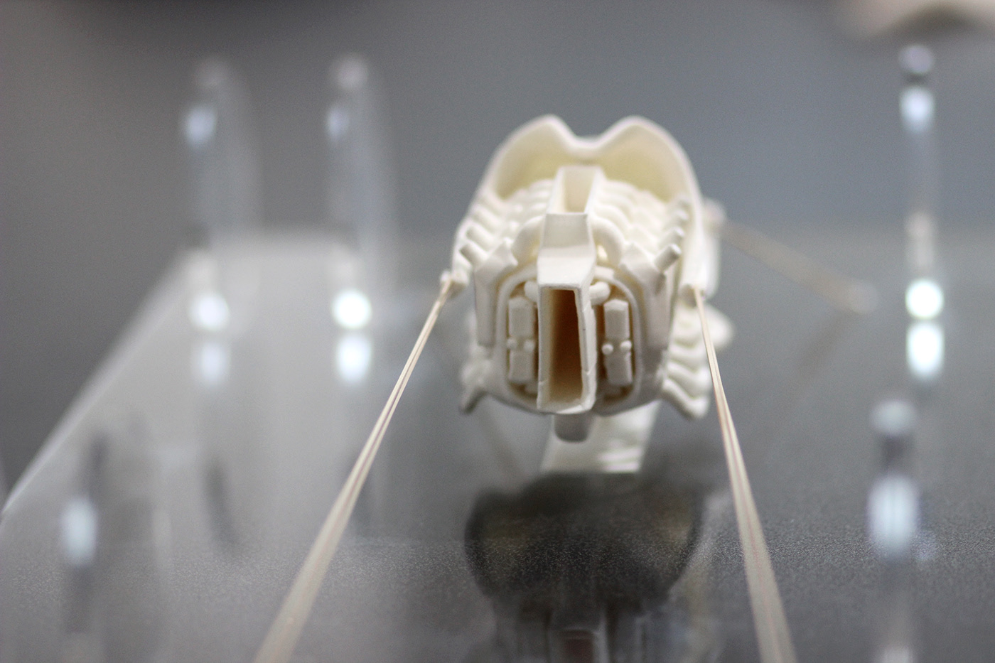 automobile，LUXURY RIDE，Martin Chatelier，