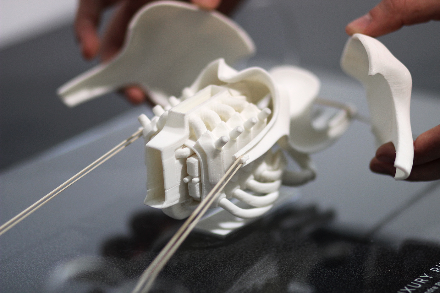 automobile，LUXURY RIDE，Martin Chatelier，