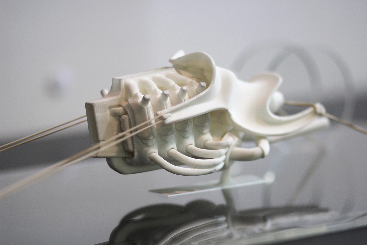 automobile，LUXURY RIDE，Martin Chatelier，