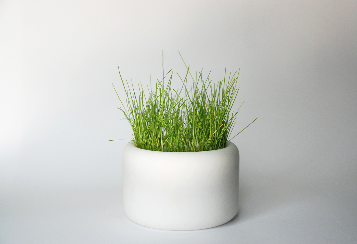 Botany，Nature Opus，pen container，Gonzalo Baxter，