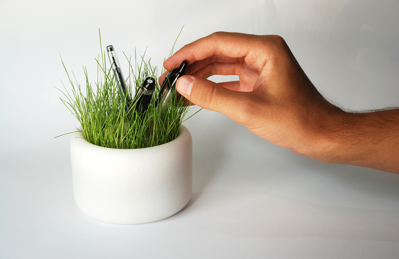 Botany，Nature Opus，pen container，Gonzalo Baxter，