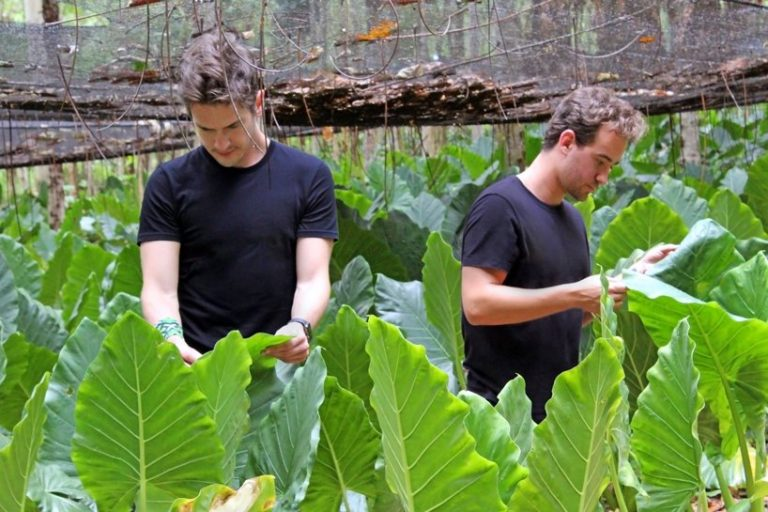 refuse classification，Green design，Stuff，