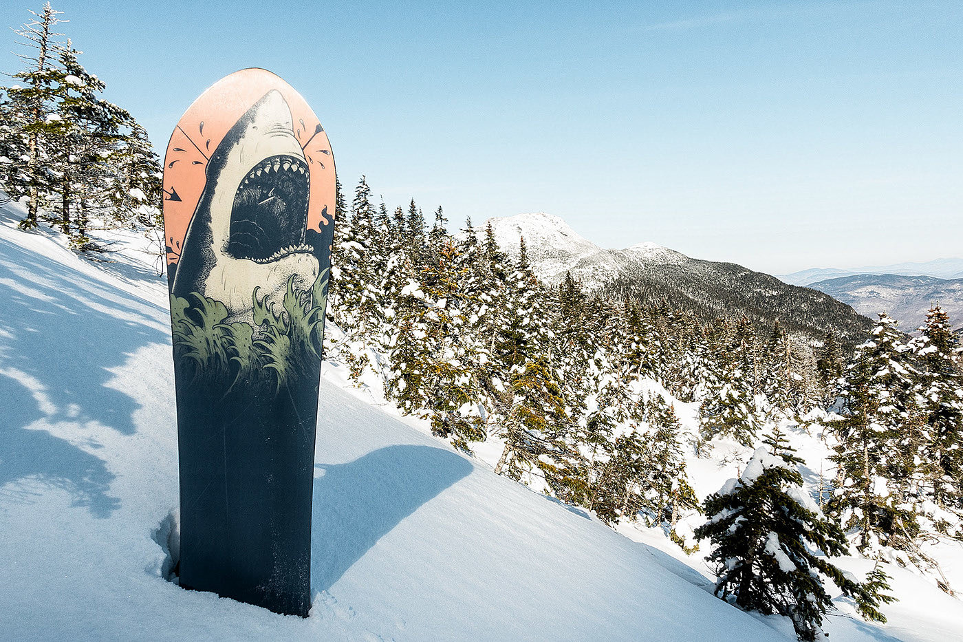 Burton，ski，two thousand and eighteen，
