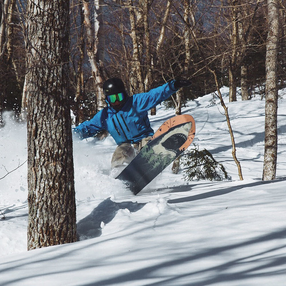 Burton，ski，two thousand and eighteen，