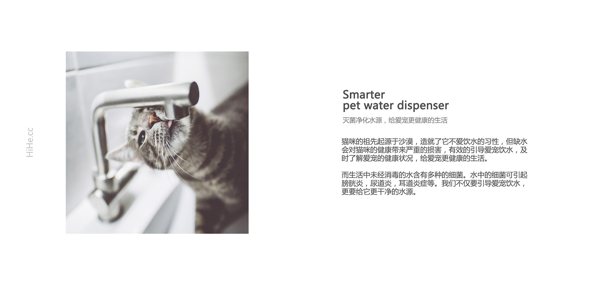 product design，Pet water dispenser，routine，