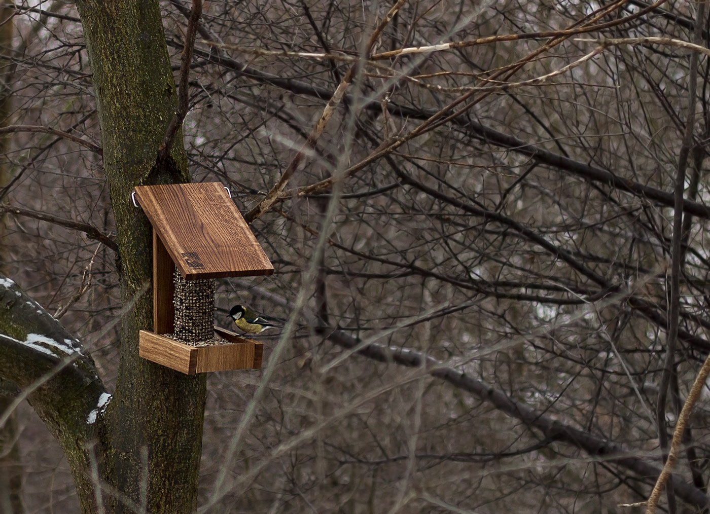 Bird feeder，food，wooden ，house，